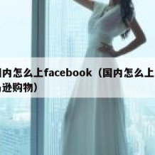 国内怎么上facebook（国内怎么上亚马逊购物）