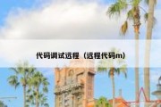 代码调试远程（远程代码m）
