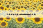 抖音刷播放量（抖音刷播放怎么刷）