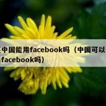 在中国能用facebook吗（中国可以使用facebook吗）