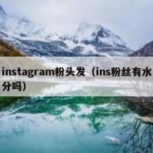 instagram粉头发（ins粉丝有水分吗）