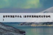 自学开发能干什么（自学开发网站可以学会吗）