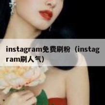 instagram免费刷粉（instagram刷人气）