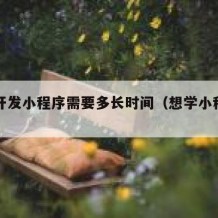 自学开发小程序需要多长时间（想学小程序开发）