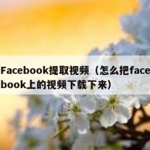 Facebook提取视频（怎么把facebook上的视频下载下来）