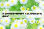 自己如何搭建小程序商城（怎么搭建微信小程序商城）