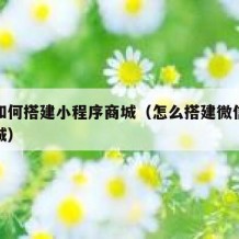 自己如何搭建小程序商城（怎么搭建微信小程序商城）