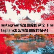 Instagram恢复删除的评论（instagram怎么恢复删除的帖子）