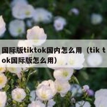 国际版tiktok国内怎么用（tik tok国际版怎么用）