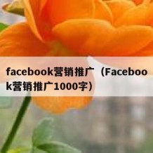 facebook营销推广（Facebook营销推广1000字）