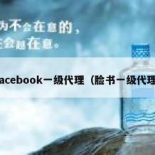 facebook一级代理（脸书一级代理）