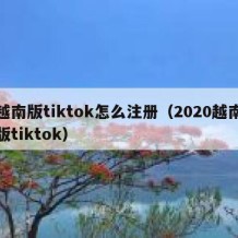 越南版tiktok怎么注册（2020越南版tiktok）