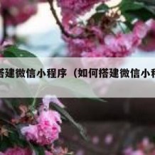 如何搭建微信小程序（如何搭建微信小程序商城）