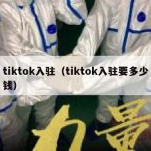 tiktok入驻（tiktok入驻要多少钱）