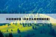 抖音刷播放量（抖音怎么看视频播放量）