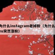 为什么instagram老掉粉（为什么ins突然涨粉）