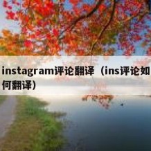 instagram评论翻译（ins评论如何翻译）