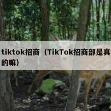 tiktok招商（TikTok招商部是真的嘛）