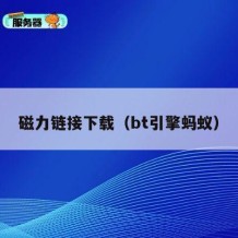 磁力链接下载（bt引擎蚂蚁）