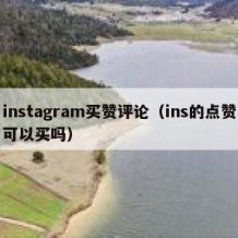 instagram买赞评论（ins的点赞可以买吗）