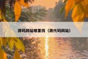 源码网站哪里找（源代码网站）