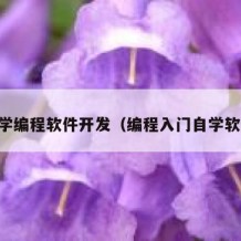 自学编程软件开发（编程入门自学软件）