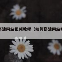 如何搭建网站视频教程（如何搭建网站视频教程）