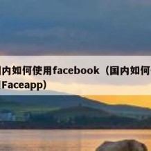 国内如何使用facebook（国内如何使用Faceapp）