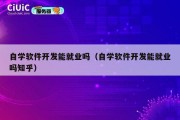 自学软件开发能就业吗（自学软件开发能就业吗知乎）