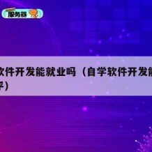 自学软件开发能就业吗（自学软件开发能就业吗知乎）