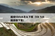 越南tiktok怎么下载（tik tok越南版下载）