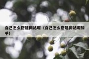 自己怎么搭建网站呢（自己怎么搭建网站呢知乎）