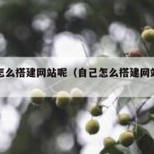 自己怎么搭建网站呢（自己怎么搭建网站呢知乎）