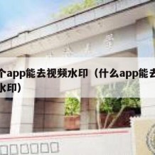 哪个app能去视频水印（什么app能去视频水印）