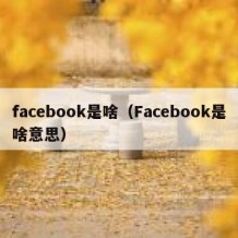 facebook是啥（Facebook是啥意思）