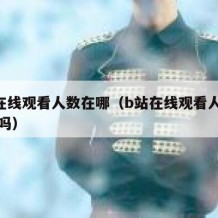 b站在线观看人数在哪（b站在线观看人数算自己吗）