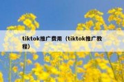 tiktok推广费用（tiktok推广教程）