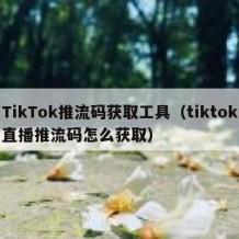 TikTok推流码获取工具（tiktok直播推流码怎么获取）