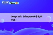 deepseek（deepseek中文叫什么）