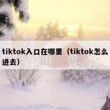 tiktok入口在哪里（tiktok怎么进去）