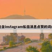 包含instagram私信消息点赞的词条