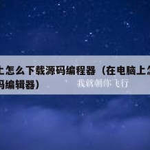 电脑上怎么下载源码编程器（在电脑上怎么下载源码编辑器）