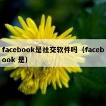 facebook是社交软件吗（facebook 是）