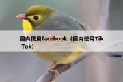 国内使用facebook（国内使用Tik Tok）