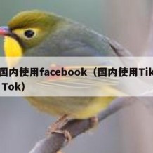 国内使用facebook（国内使用Tik Tok）