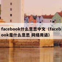 facebook什么意思中文（facebook是什么意思 网络用语）