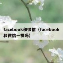 facebook和微信（facebook和微信一样吗）