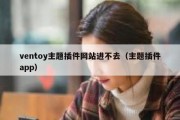 ventoy主题插件网站进不去（主题插件app）