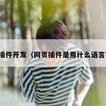 网页插件开发（网页插件是用什么语言写的）