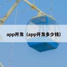 app开发（app开发多少钱）